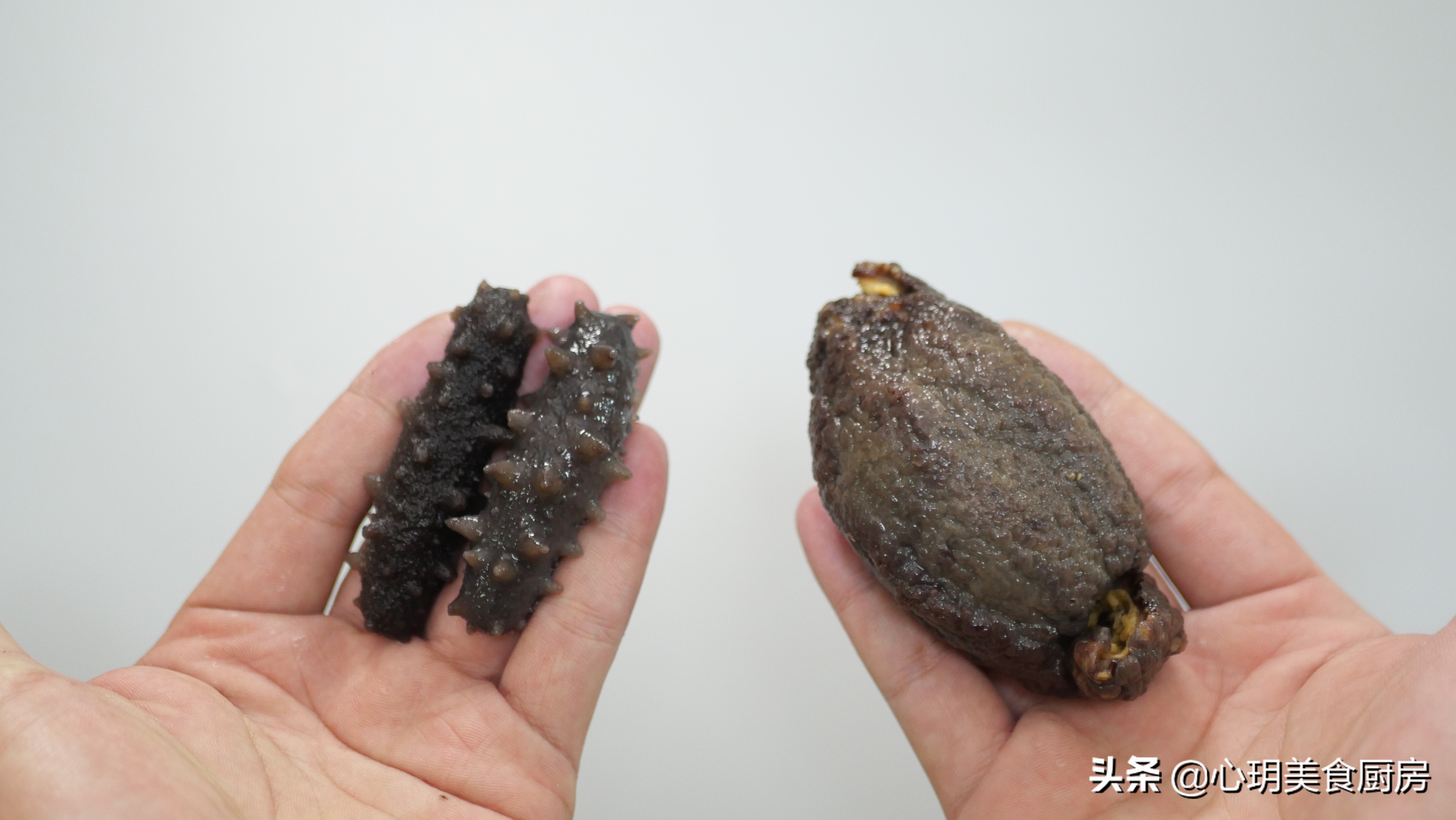 海参怎么泡发又大又好,泡发的海参在清水能放几天