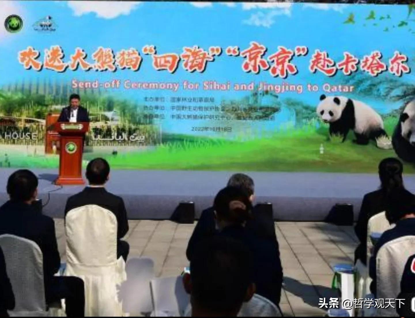 卡塔尔为什么花那么多钱办世界杯,卡塔尔举办世界杯赚了多少钱