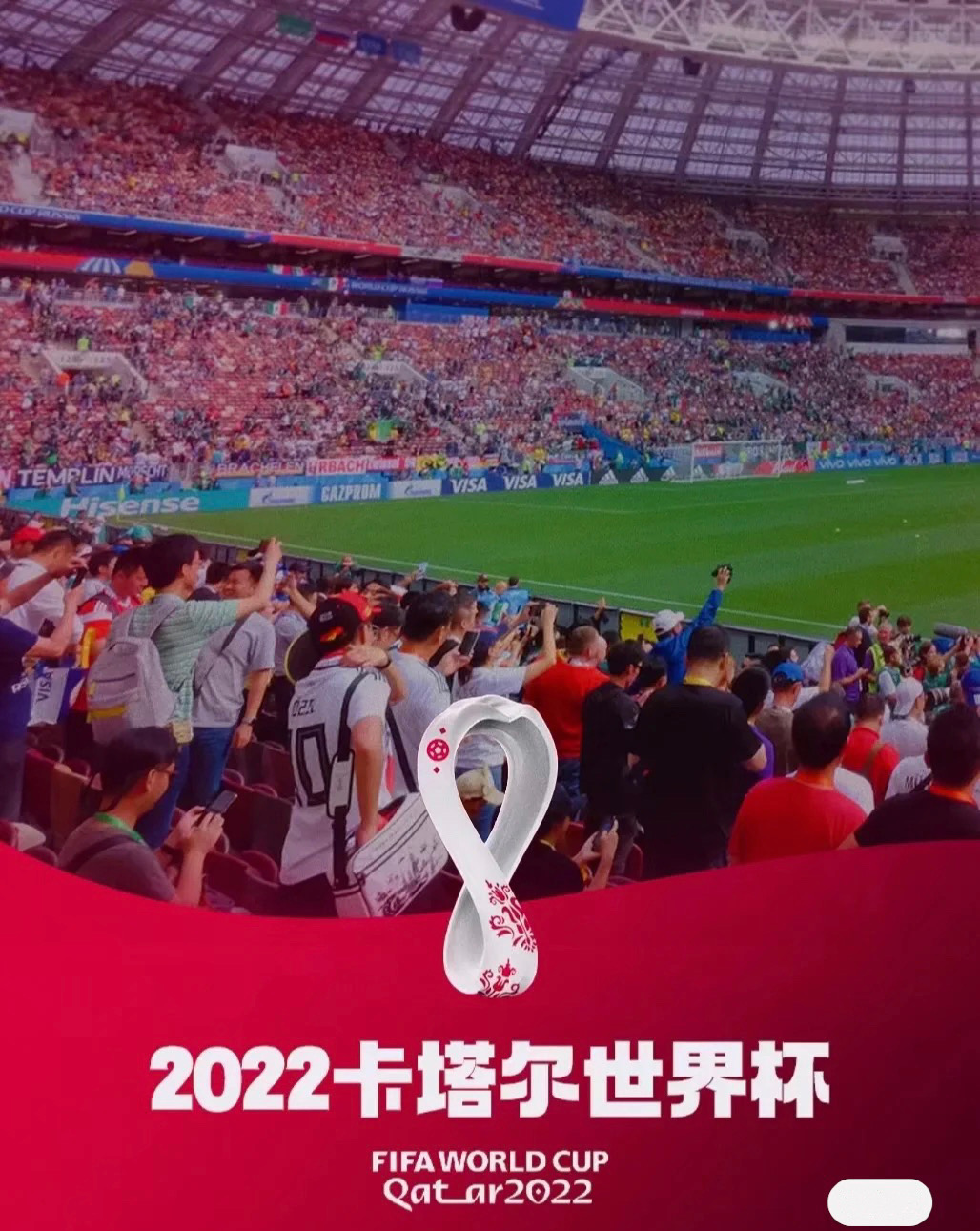 疯狂足球迷,足球迷有多疯狂