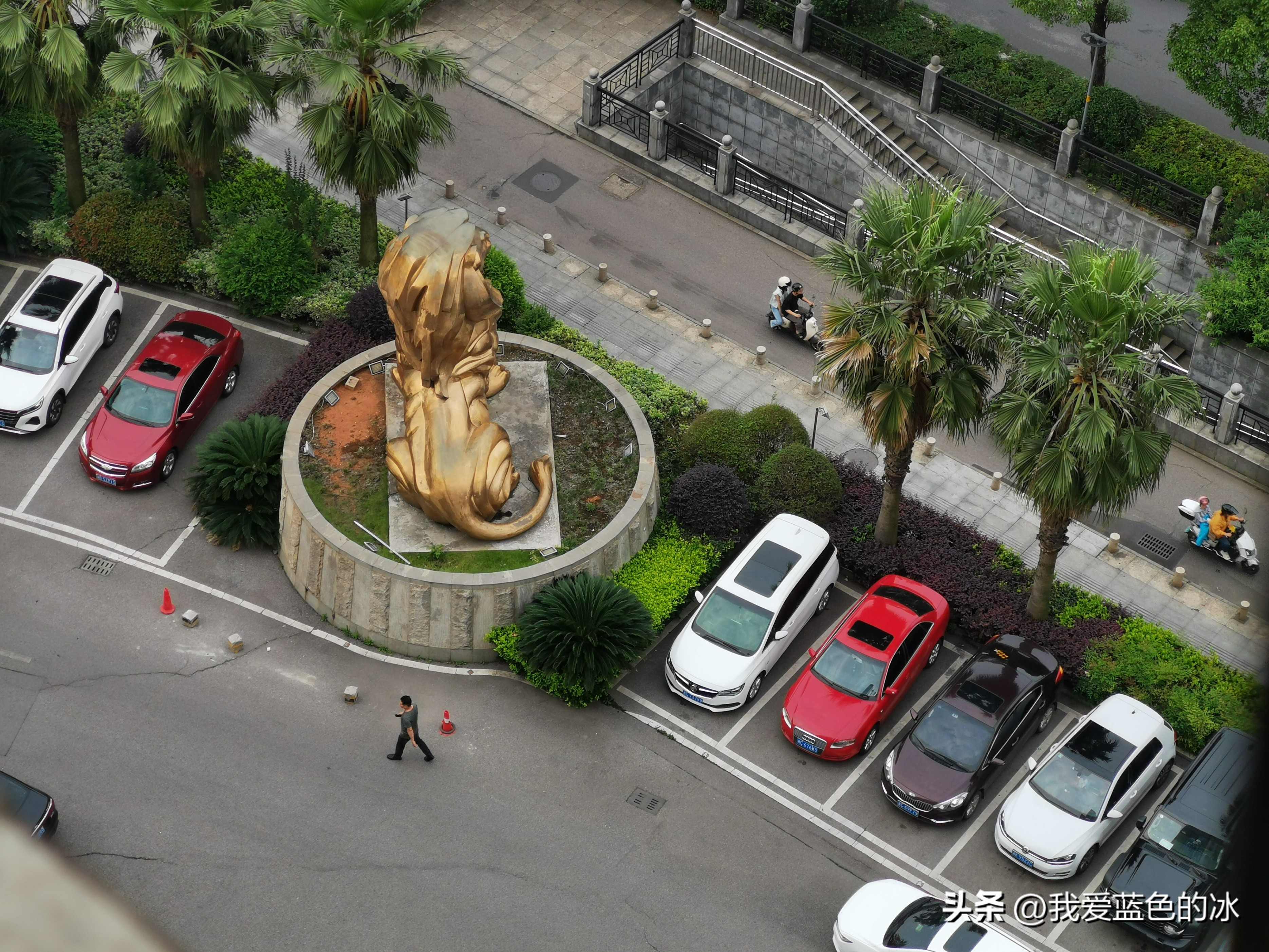 从窗户能看见烟囱,从十一楼往下看全是美景