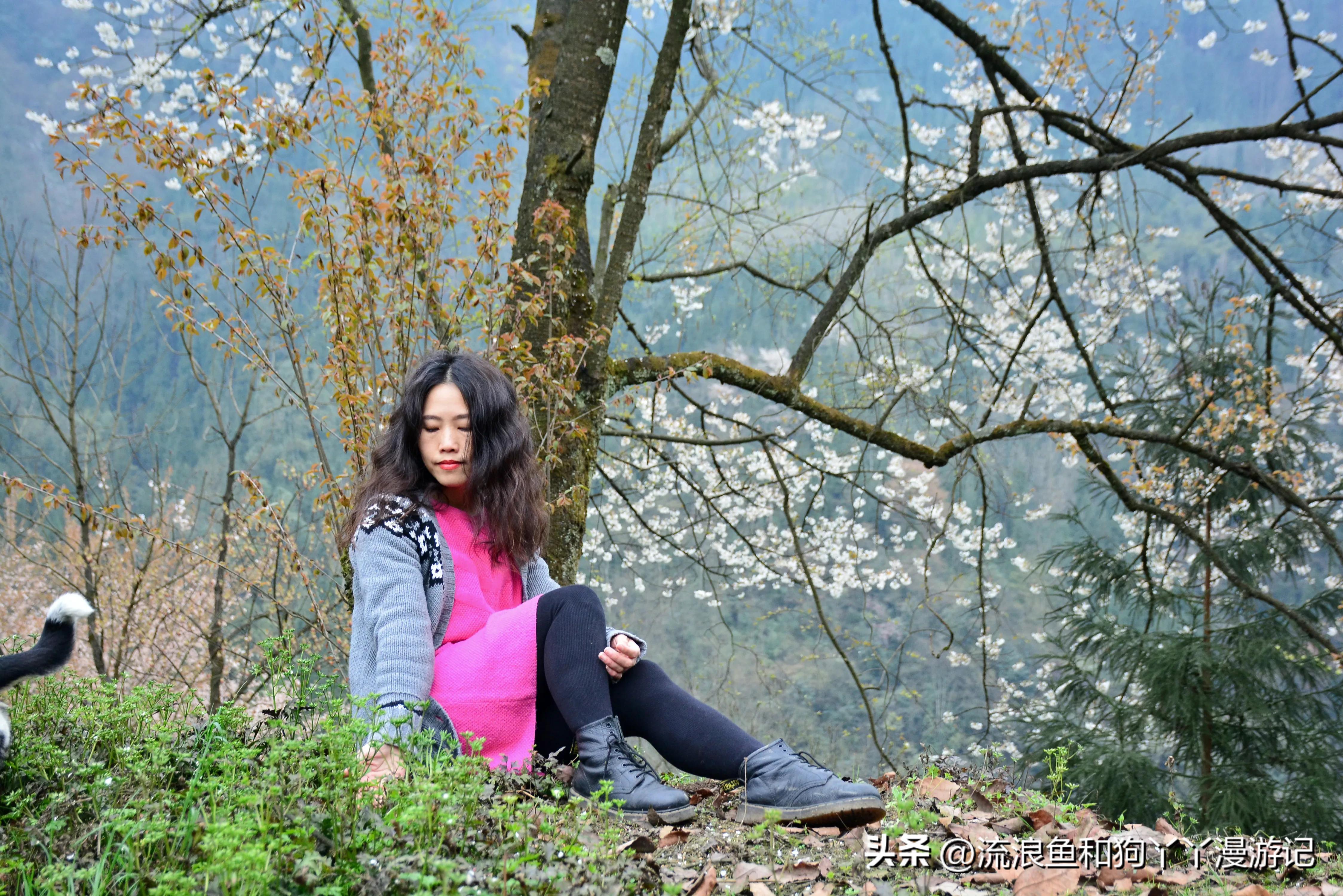 四月份成都近郊一日游好去处,2022成都近郊看雪一日游最佳去处