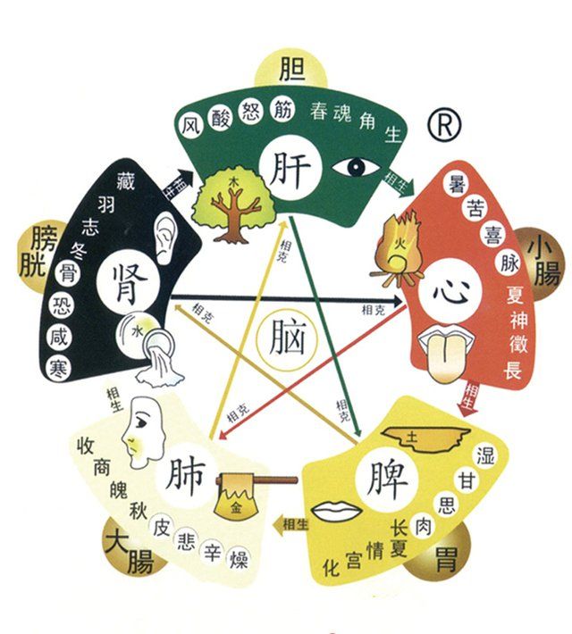 皮肤病看中医好还是西医好,治皮肤病中医好还是西医好