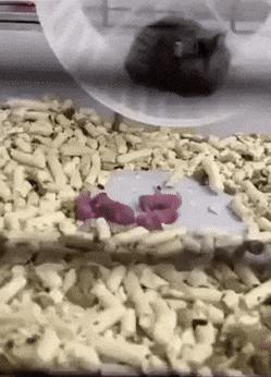 78个真实有趣的照片：山顶的足球场，老树与佛像，老司机脸部皮肤