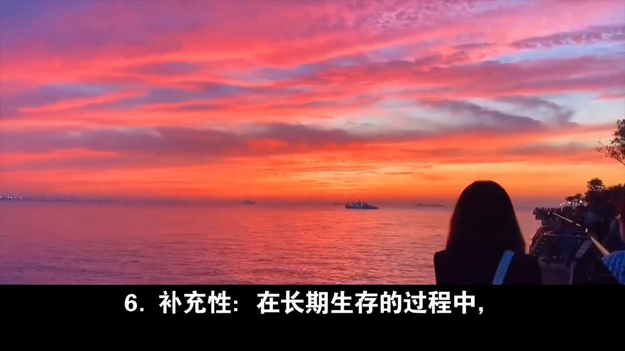 关于丧尸爆发如何预防的视频,科普教你遇到丧尸怎么办