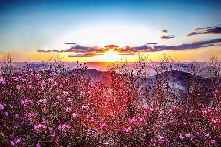 春节期间不要买什么东西,春节不应该买的食物