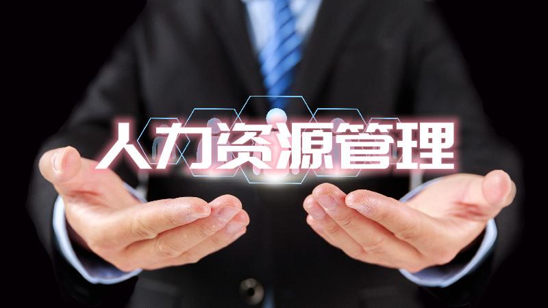 公共部门人力资源规划内容有哪些,人力资源配置规划具体包括