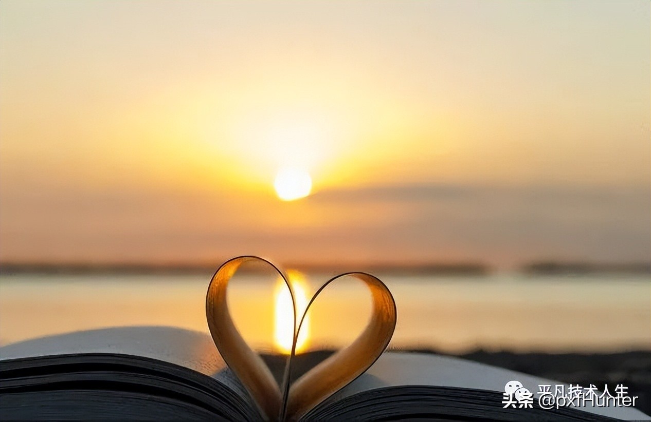 始于颜值陷于才华忠于人品原版,始于颜值陷于才华