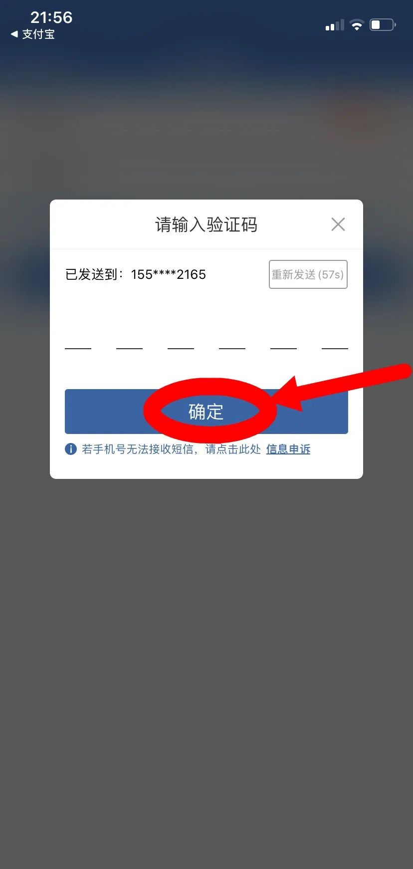 交管12123在国外如何登录,交管12123登录显示403