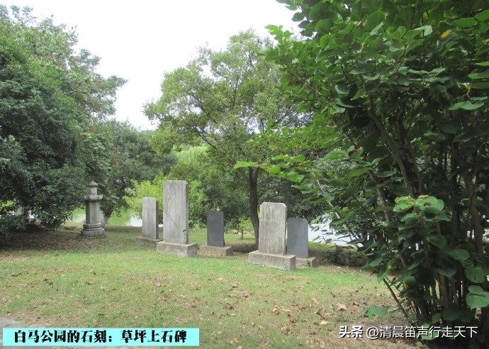 白马公园白马石刻朝代,公园石刻精品欣赏