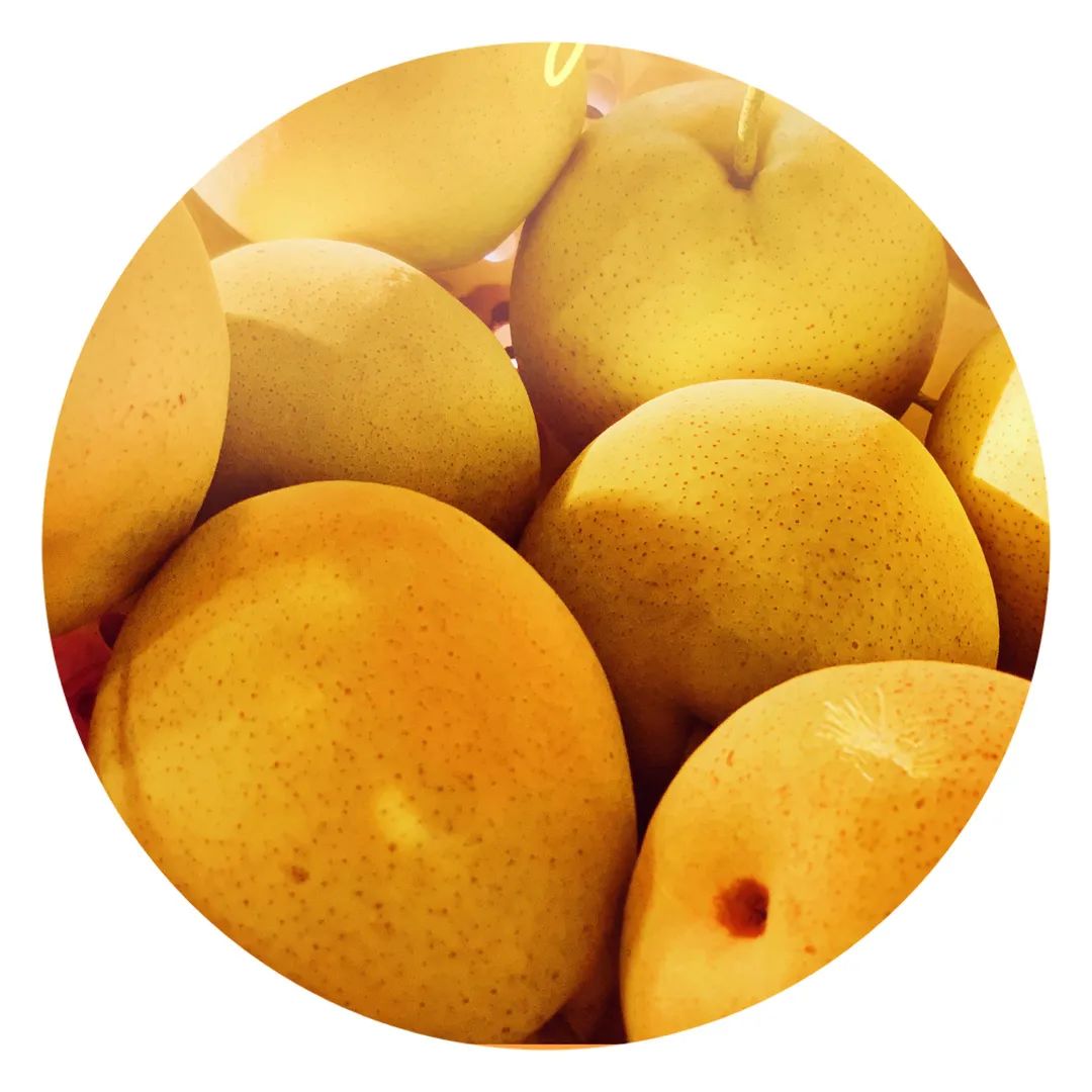 沂蒙乡村振兴学习感悟,乡村振兴看沂蒙专题