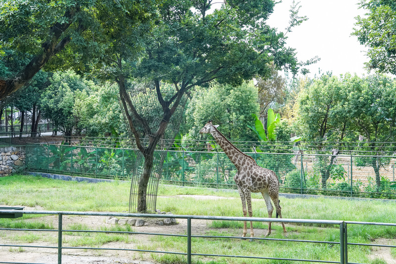 安吉中南百草园二天一夜攻略,安吉中南百草原刺激游乐项目
