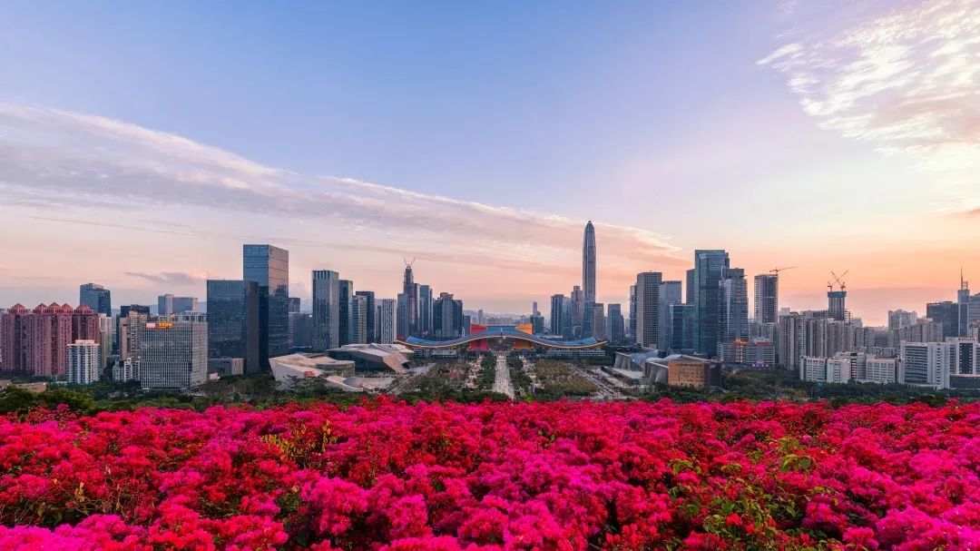 深圳福田区重点项目名单,福田区高质量发展十大行动