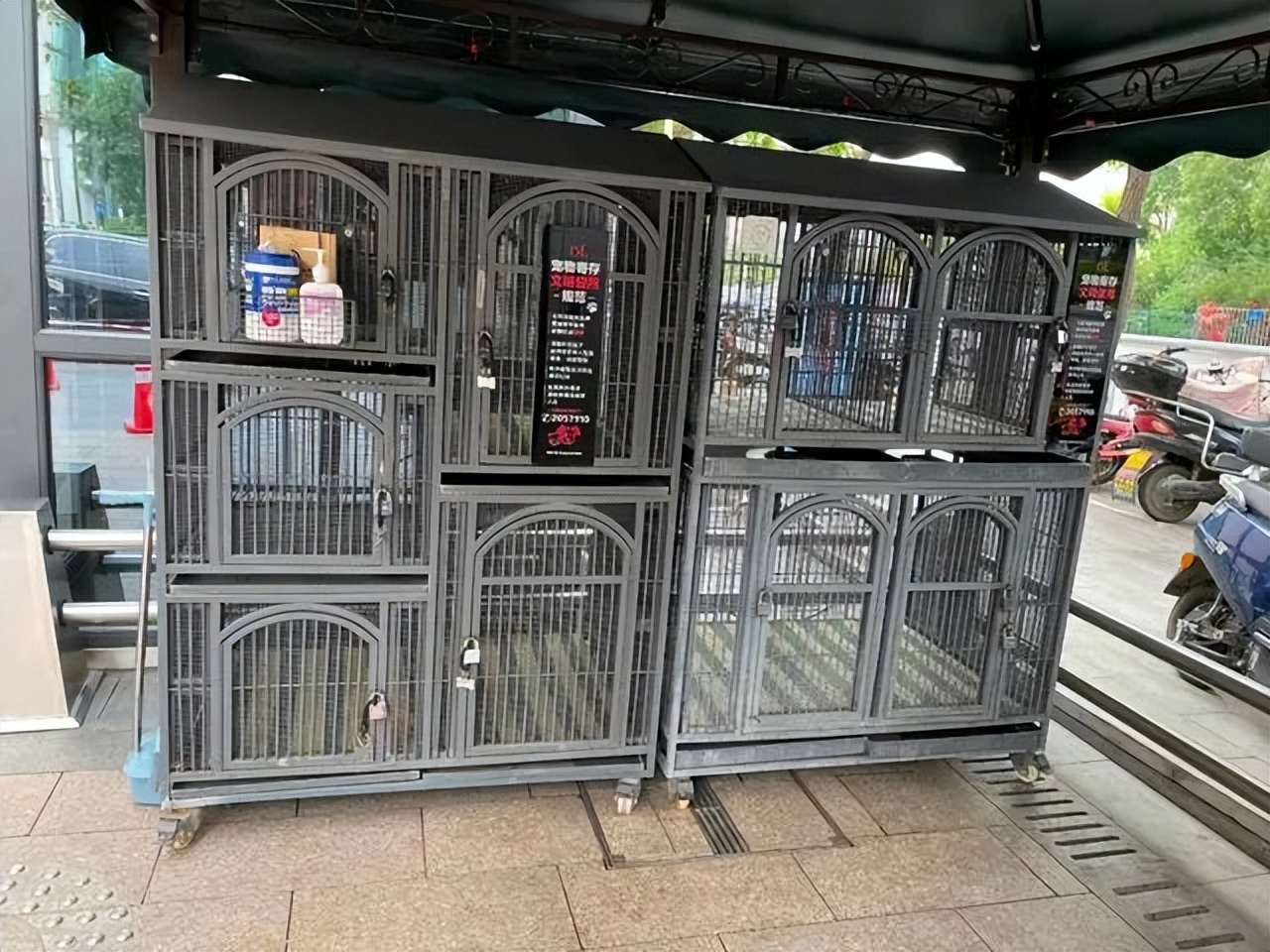 胖东来给员工设委屈奖抖音,胖东来奖励员工5000委屈奖新闻