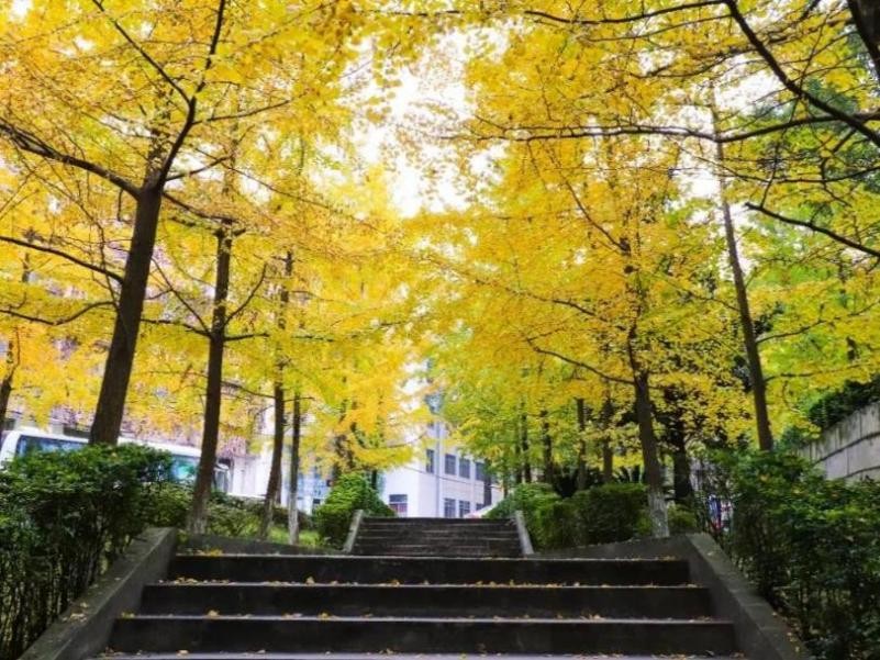 成都风景最美的大学,成都高颜值高校