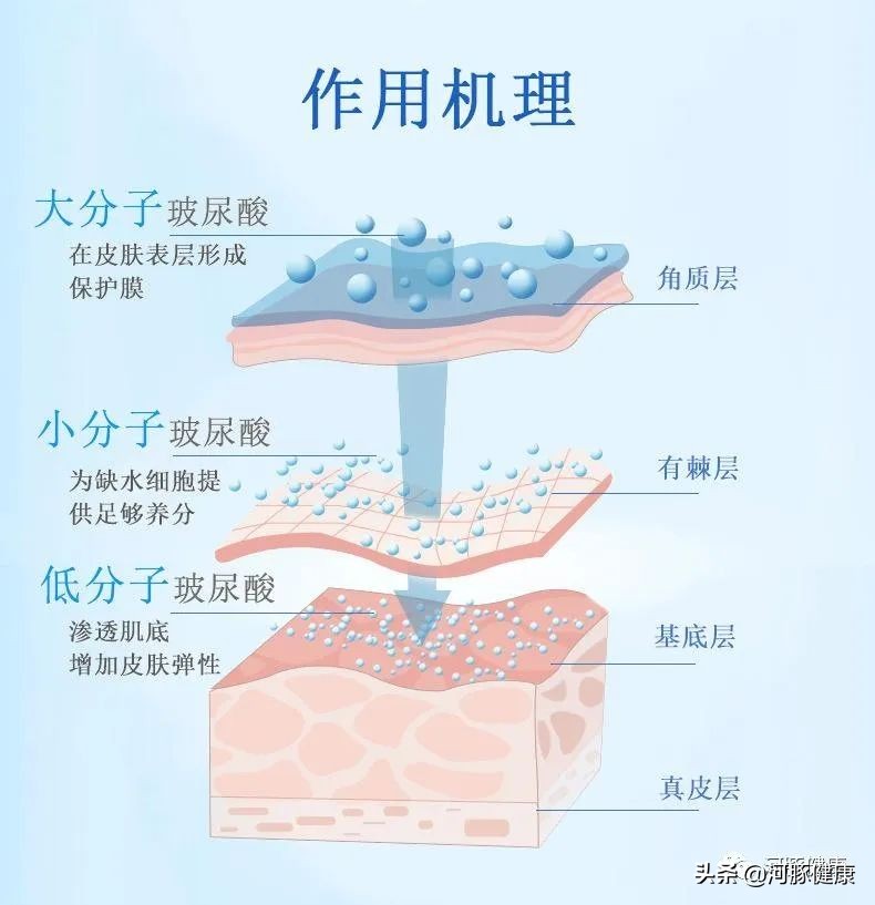 快看看你们的面膜成分,面膜硬核评测