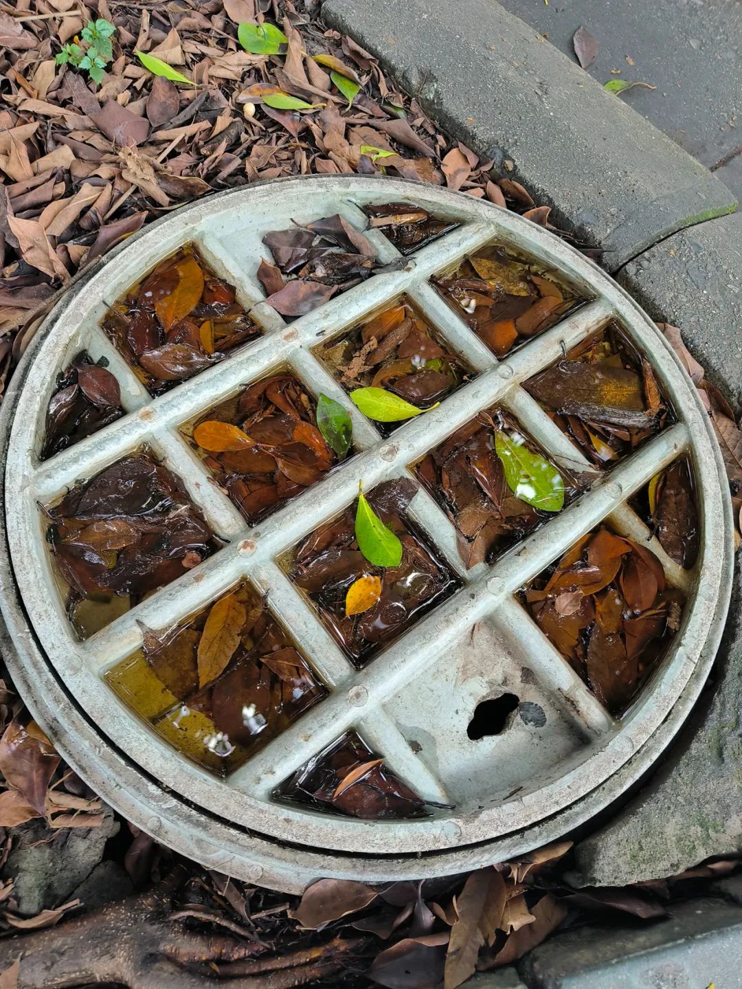 9月，谢谢你们送来的秋天