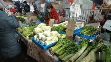 乌鲁木齐植物园早市在哪里,乌鲁木齐沙依巴克区有几个早市