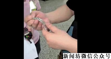 男子花万元购买手表,男子花了7万块买名表