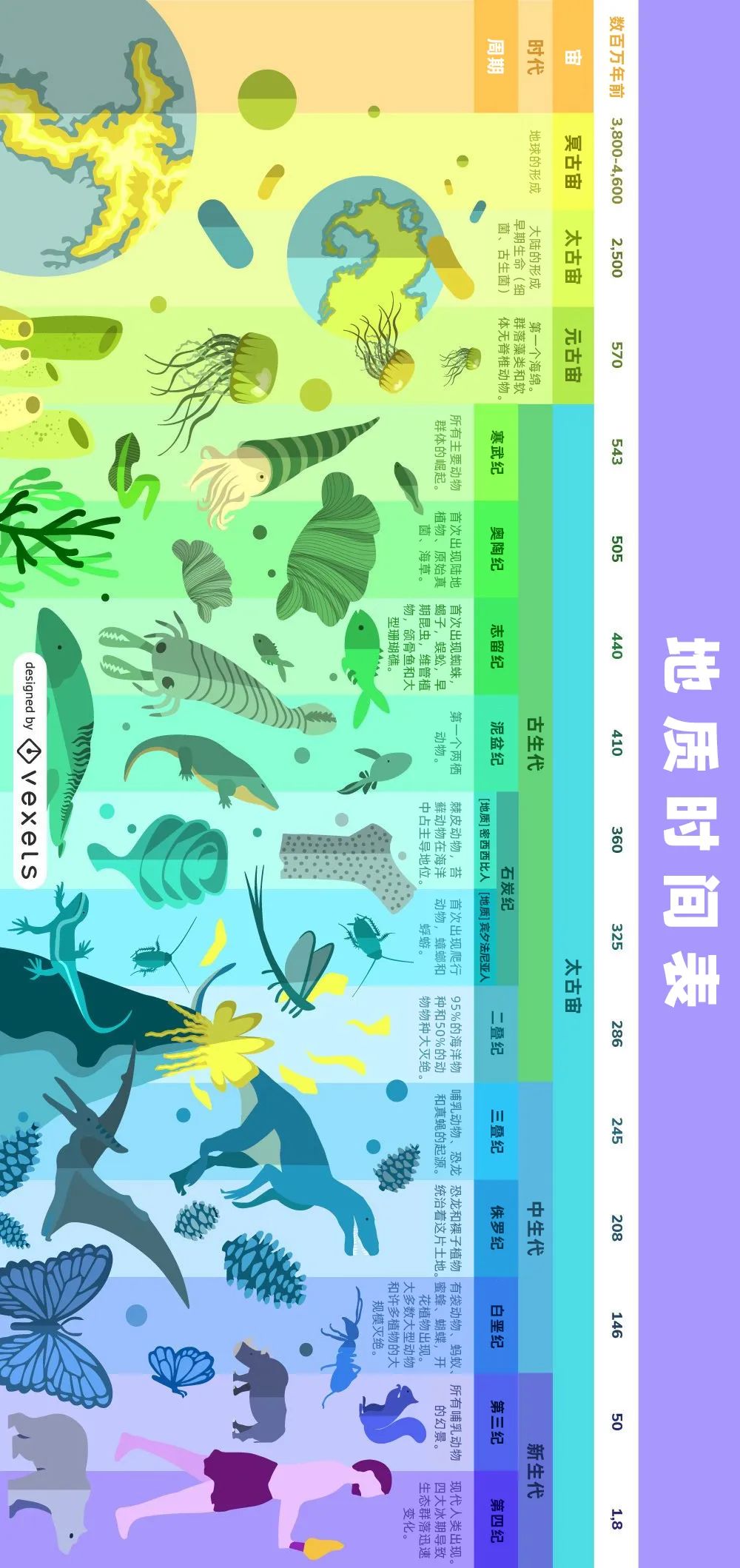 从“人类的祖先是鱼”得出的健康饮食启示