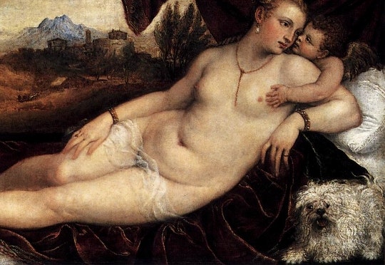 知识扩展:狗是人类的朋友青蛙也是,然而有一只狗热衷于埋葬青蛙