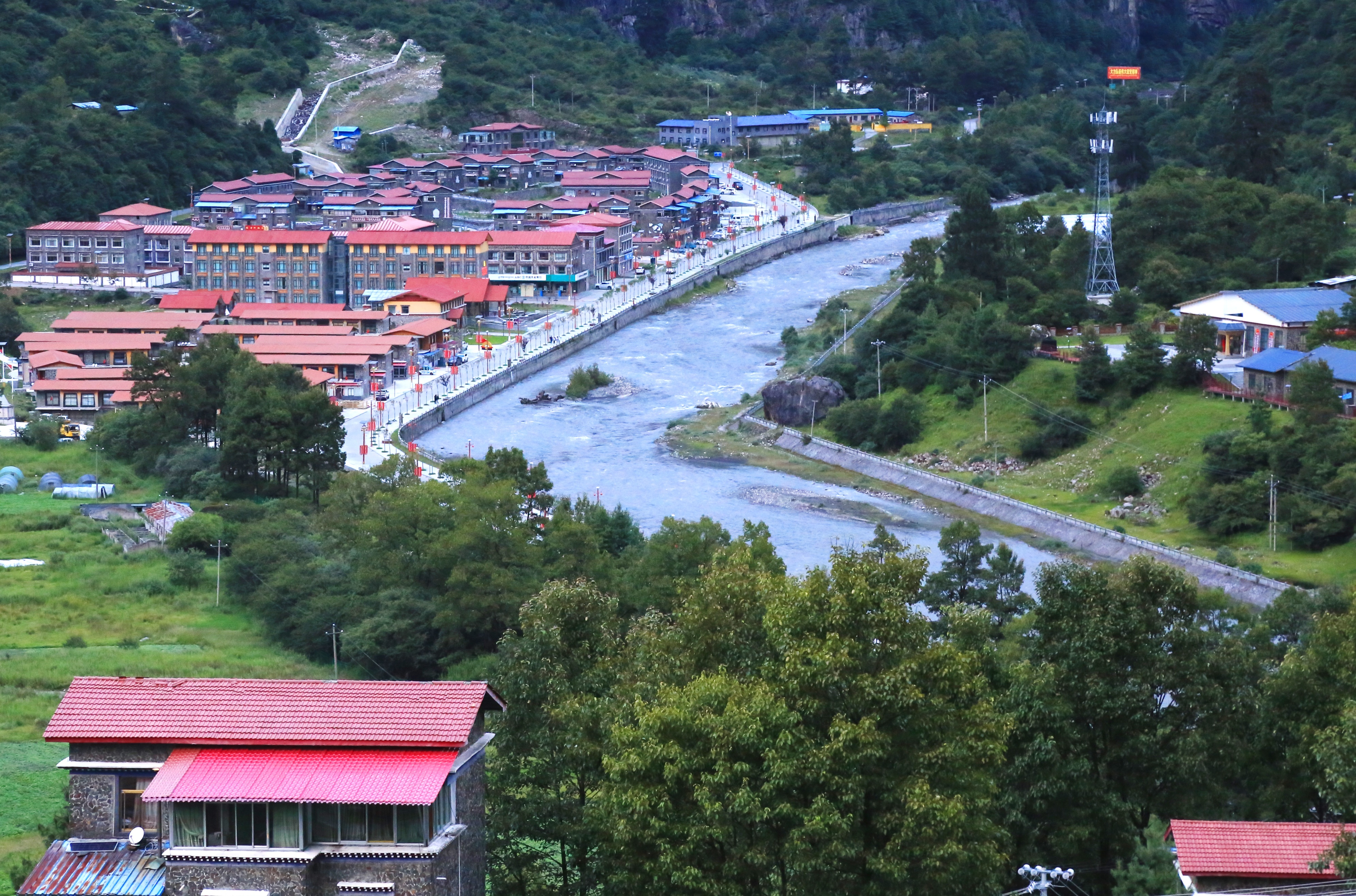 云南最高海拔的茶叶,海拔最高的茶叶产地在哪里