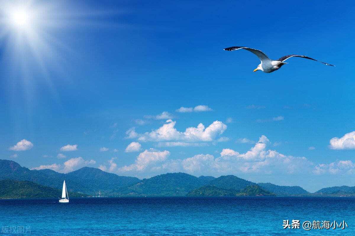 海员健康证刚办的损坏了怎么办,海员健康证不合格了怎么办