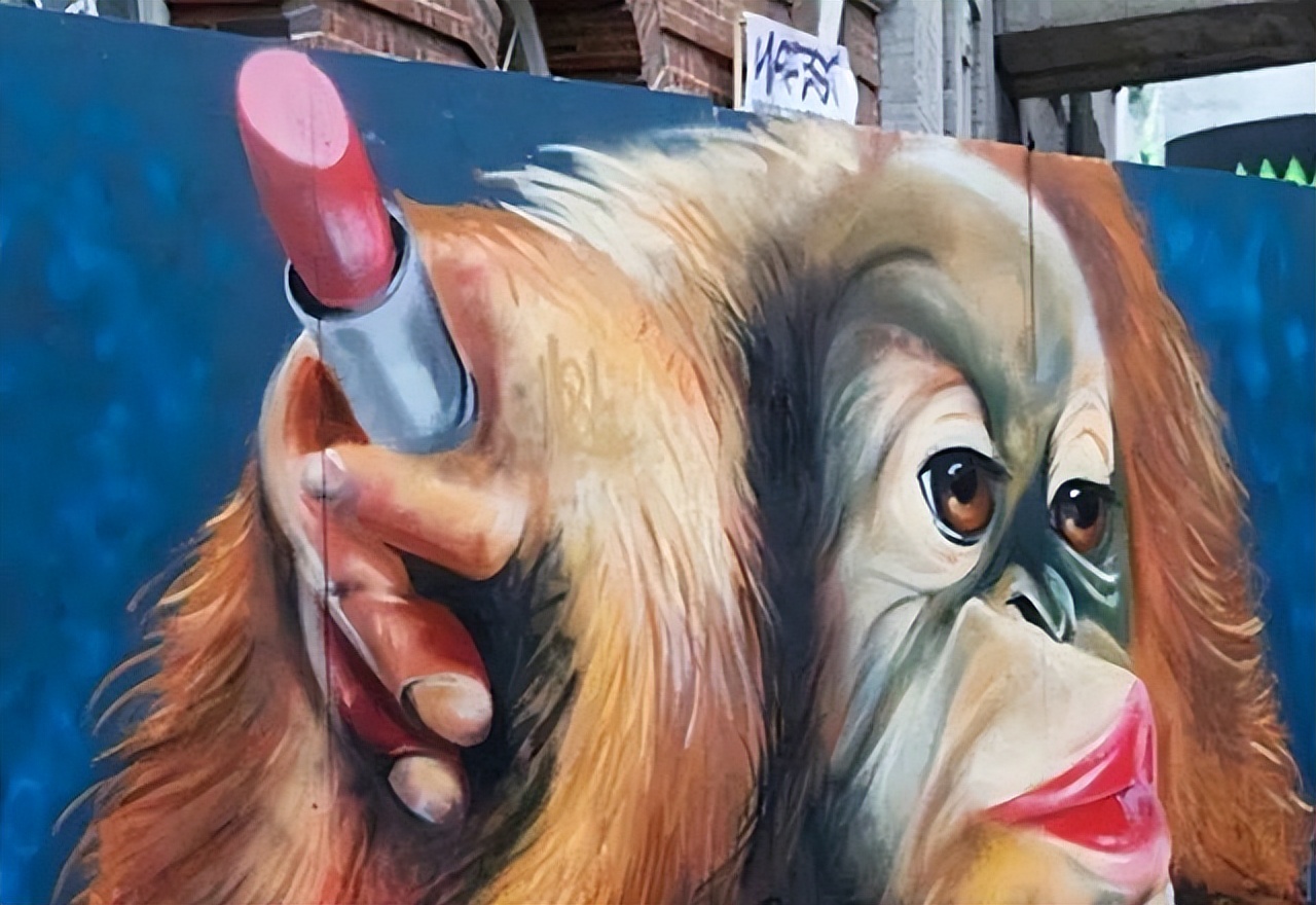 红毛猩猩被囚禁六年现状,红毛猩猩被囚禁六年