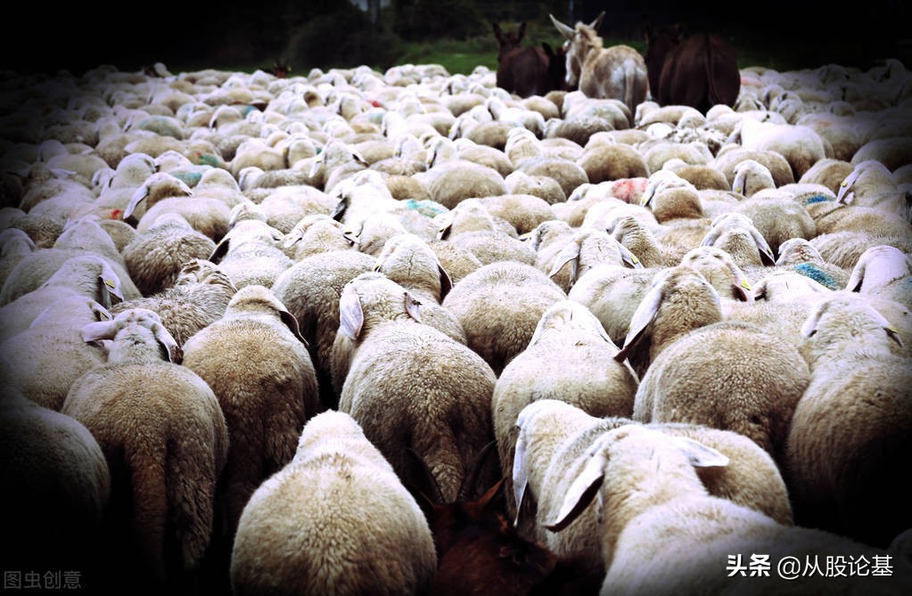 搞明白导致亏损的真实原因,亏损的原因和解决办法