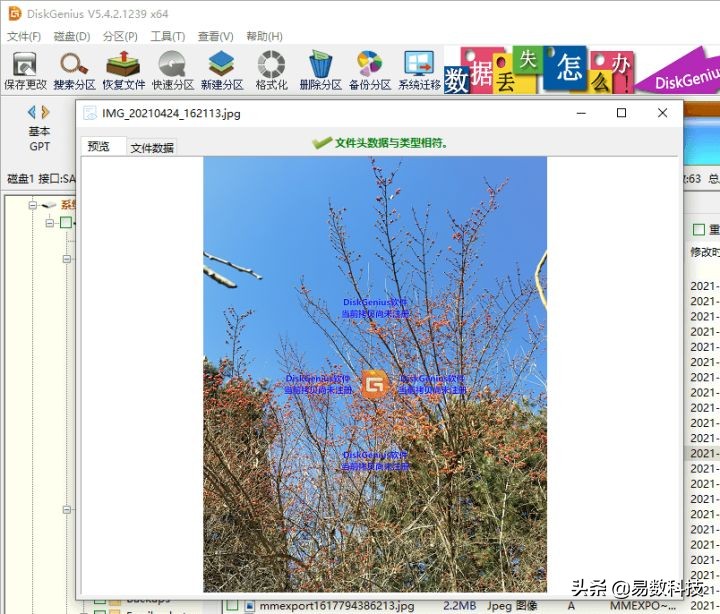 虚拟机还原后无法启动,虚拟机无法开机怎么办