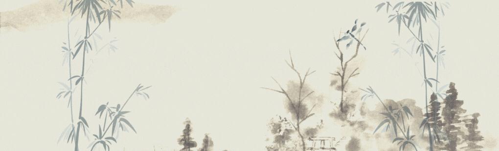 易建联妻子荆灵简历,易建联和荆灵结婚的视频