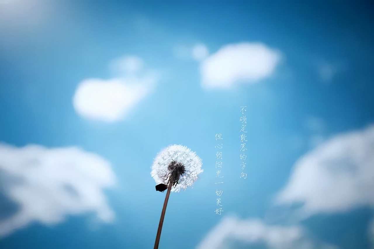 心情不好的时候一个人默默的承受,心情不好的时候你们最想做的事情