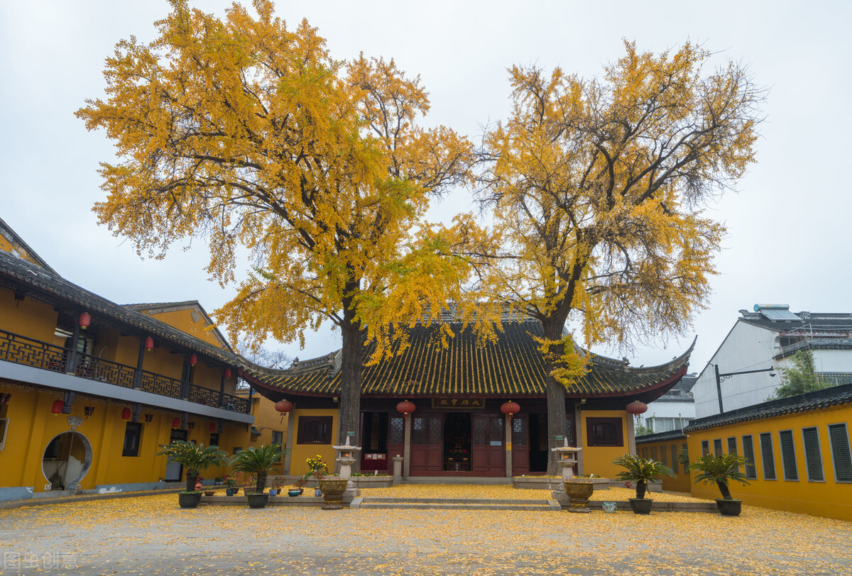 苏州最值得打卡景点攻略,2022年苏州过年景点免费预约