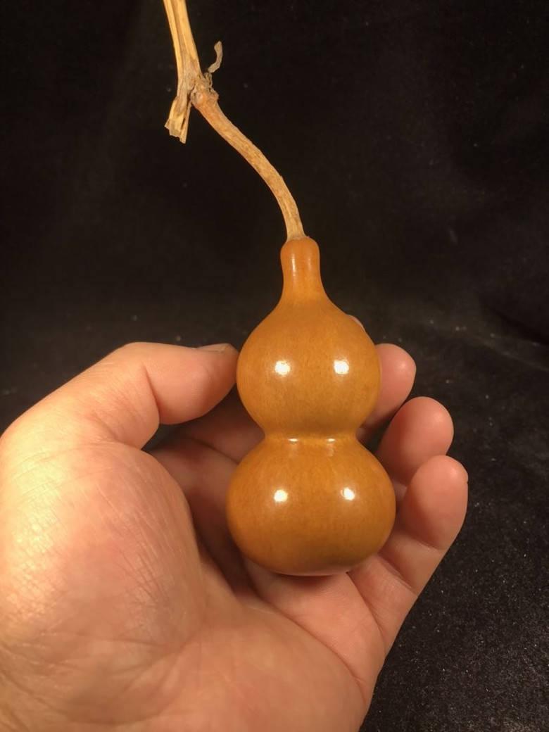 文玩葫芦坏了的照片,葫芦文玩上发霉了会怎么样