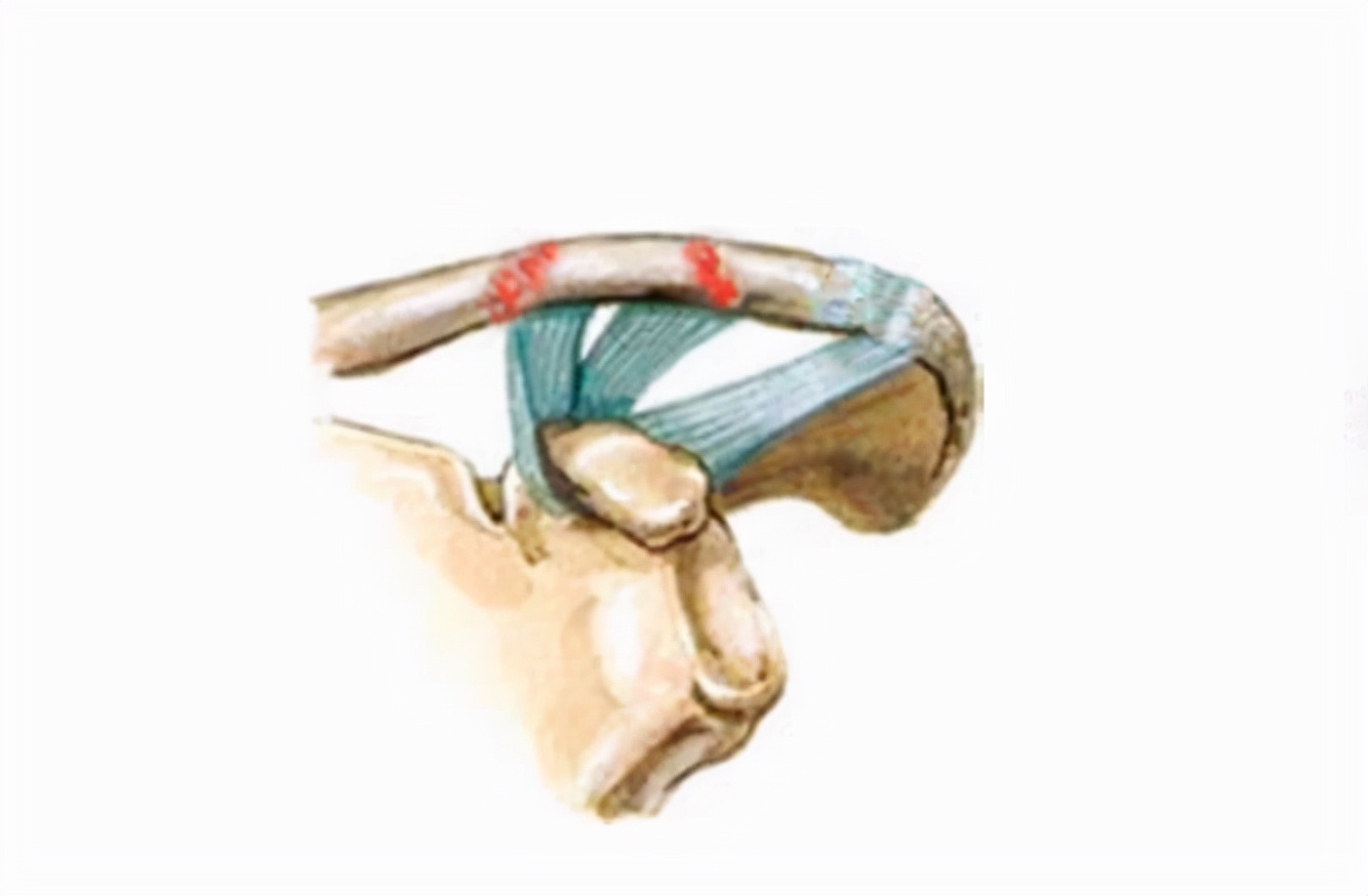 医学笔记资料大全,医学笔记整理