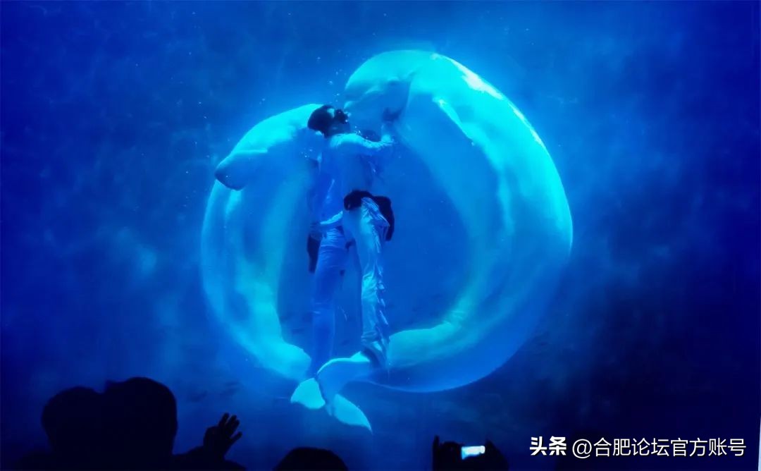 合肥6月特价机票,合肥出发全国旅游团购