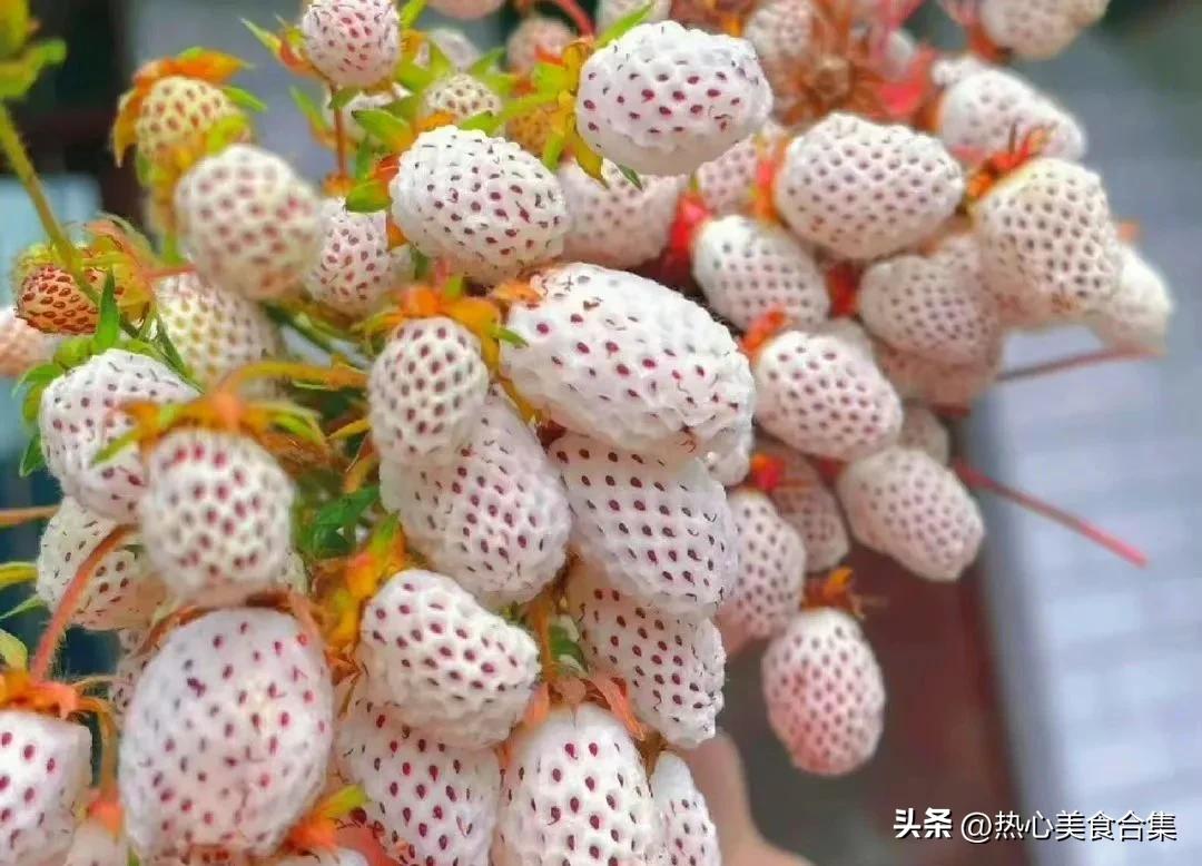 奇葩水果开箱合集,这些奇葩水果你见过吗