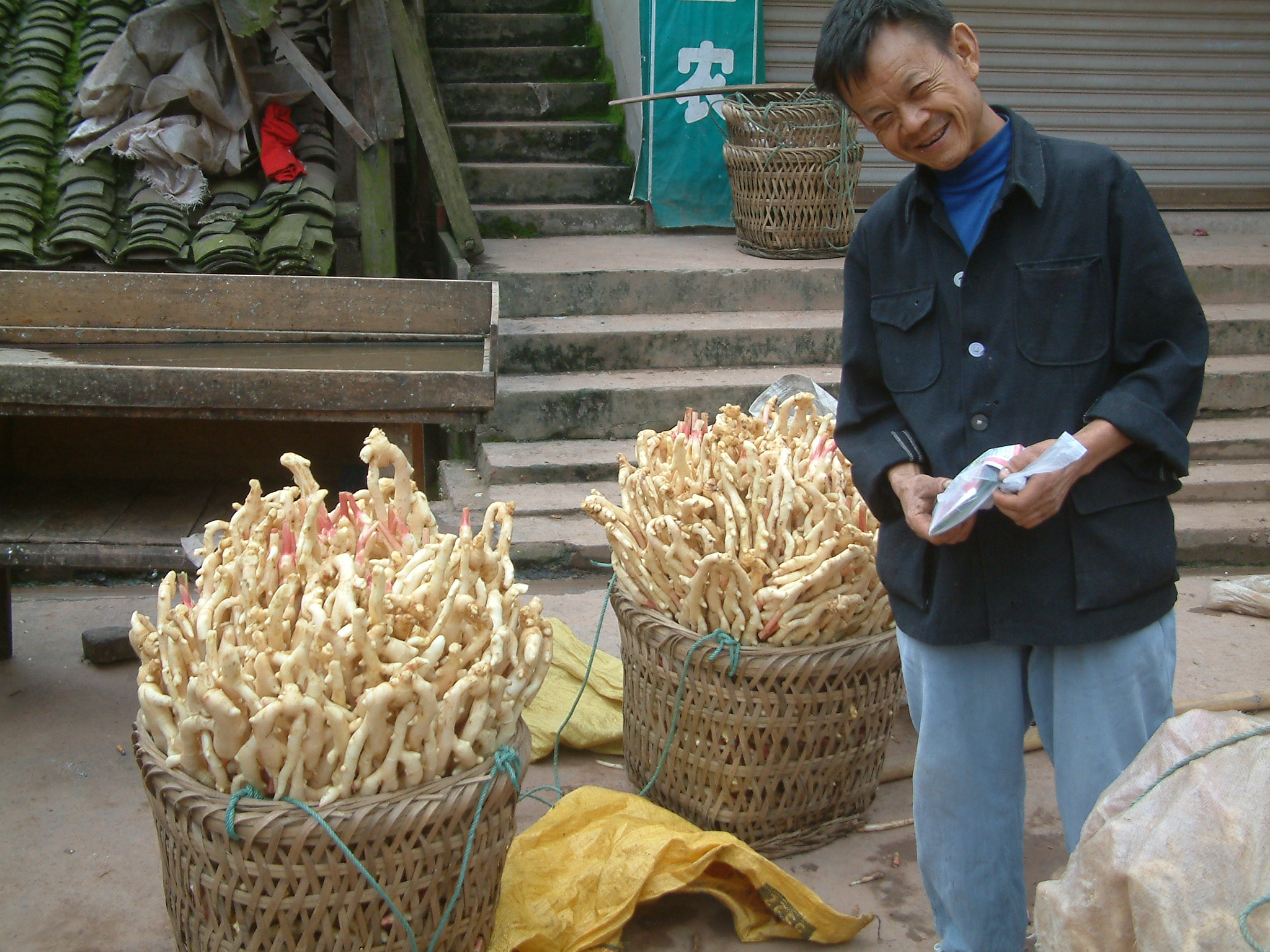 洞洞姜的底层怎么处理,洞洞姜处理方法