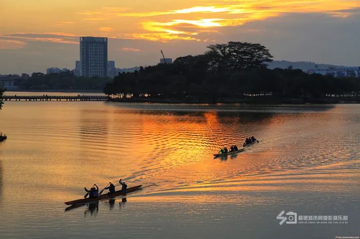 佛山顺德桔子,顺德陈村橘子