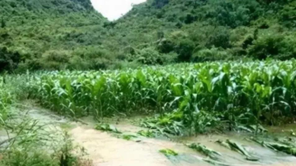 400亩良田一夜之间变成一个大湖,广西400亩田竟然一夜间变吨湖