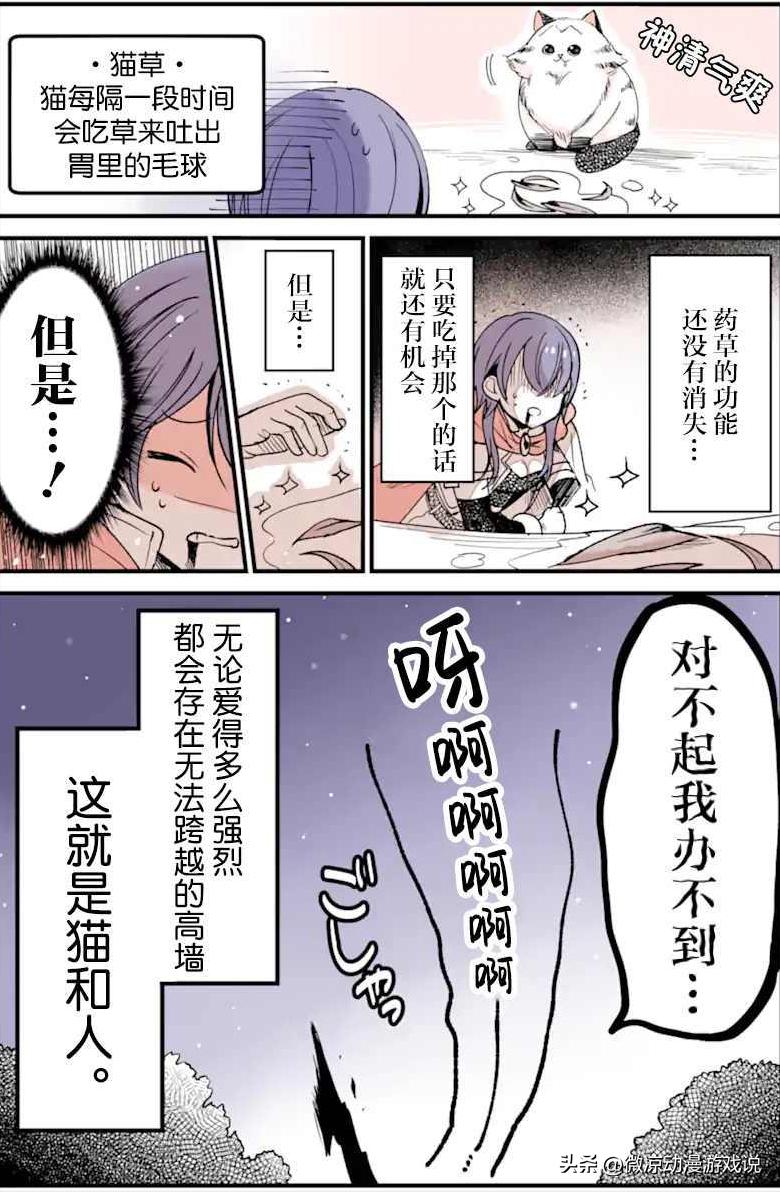 猫猫怎么可以这么乖,猫猫怎样玩耍才会开心