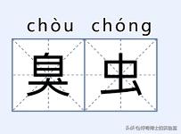 床上小颗粒是什么虫卵,墙上有虫卵很小颗粒