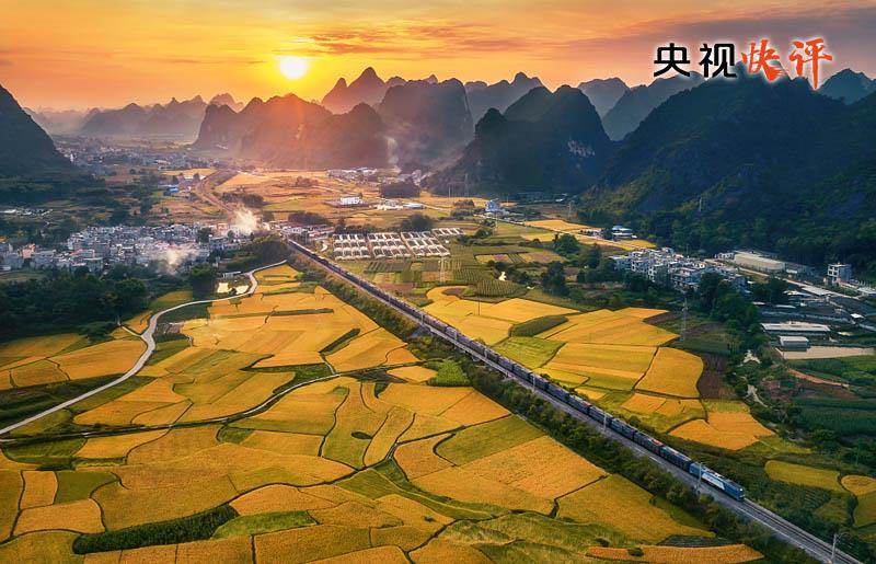 央视快评丨在*党**的旗帜下团结成“一块坚硬的钢铁”