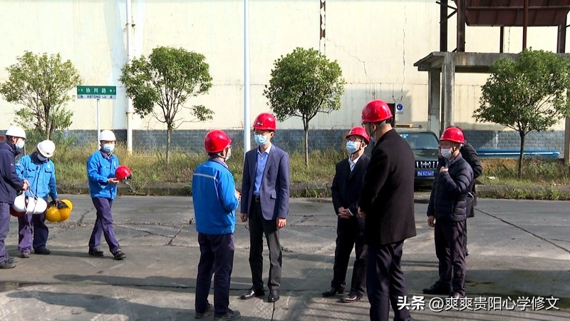 鏋楀钩璐靛窞,鏋楀钩璐甸槼