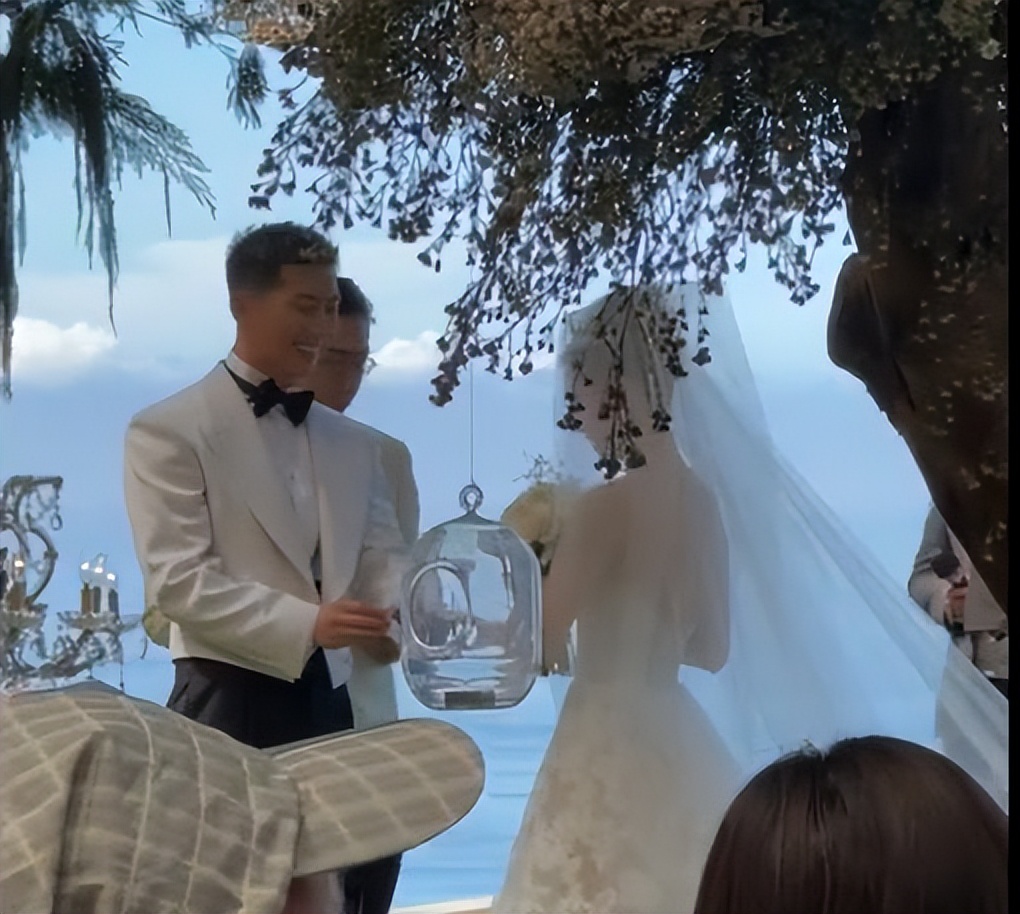 何超莲和窦骁婚礼娘家人出席了吗,何超莲窦骁将举办婚礼罕见同框