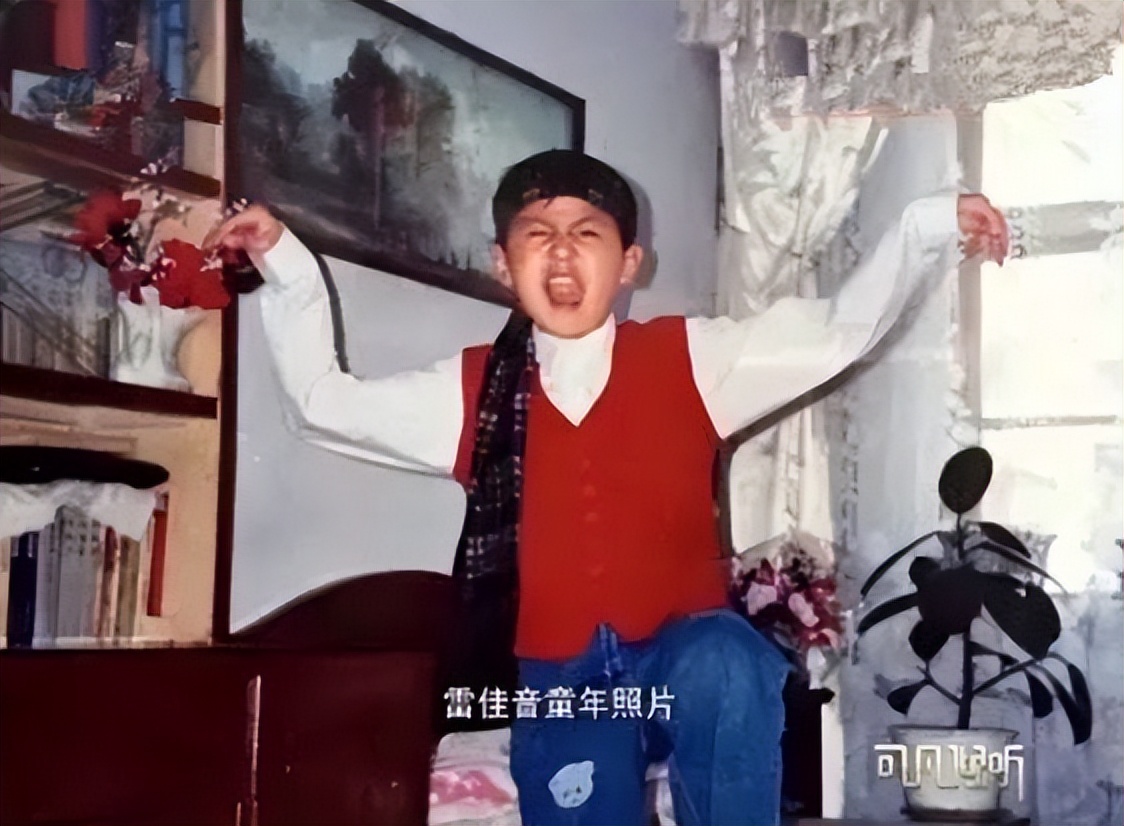 雷佳音最新进展,雷佳音最新作品解说