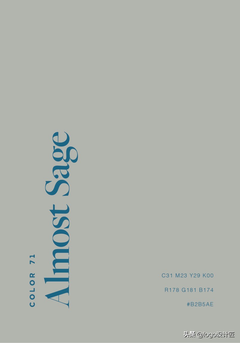 背景色和文字的色彩搭配,文字底色搭配高级感