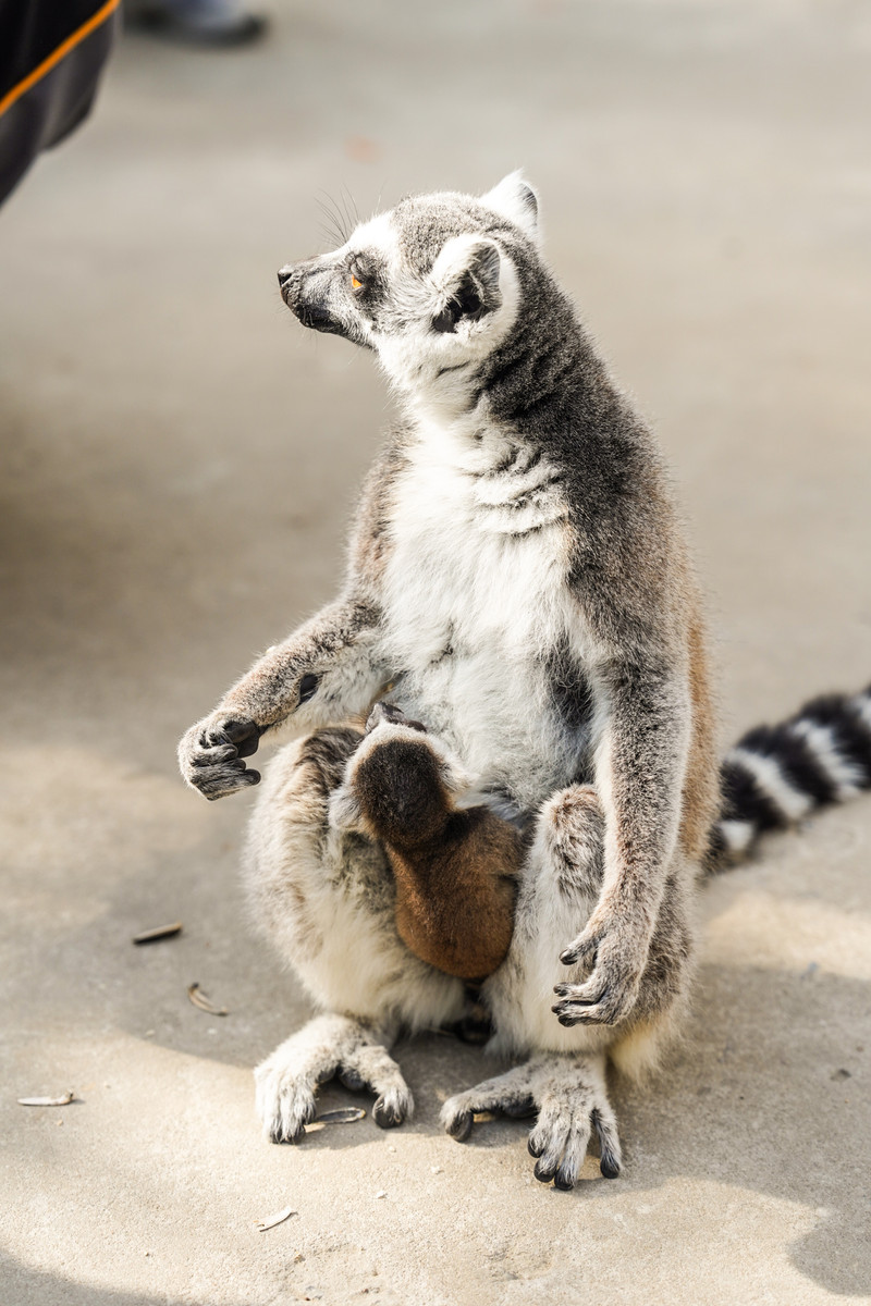 宿州两日游,安徽宿州一日游推荐