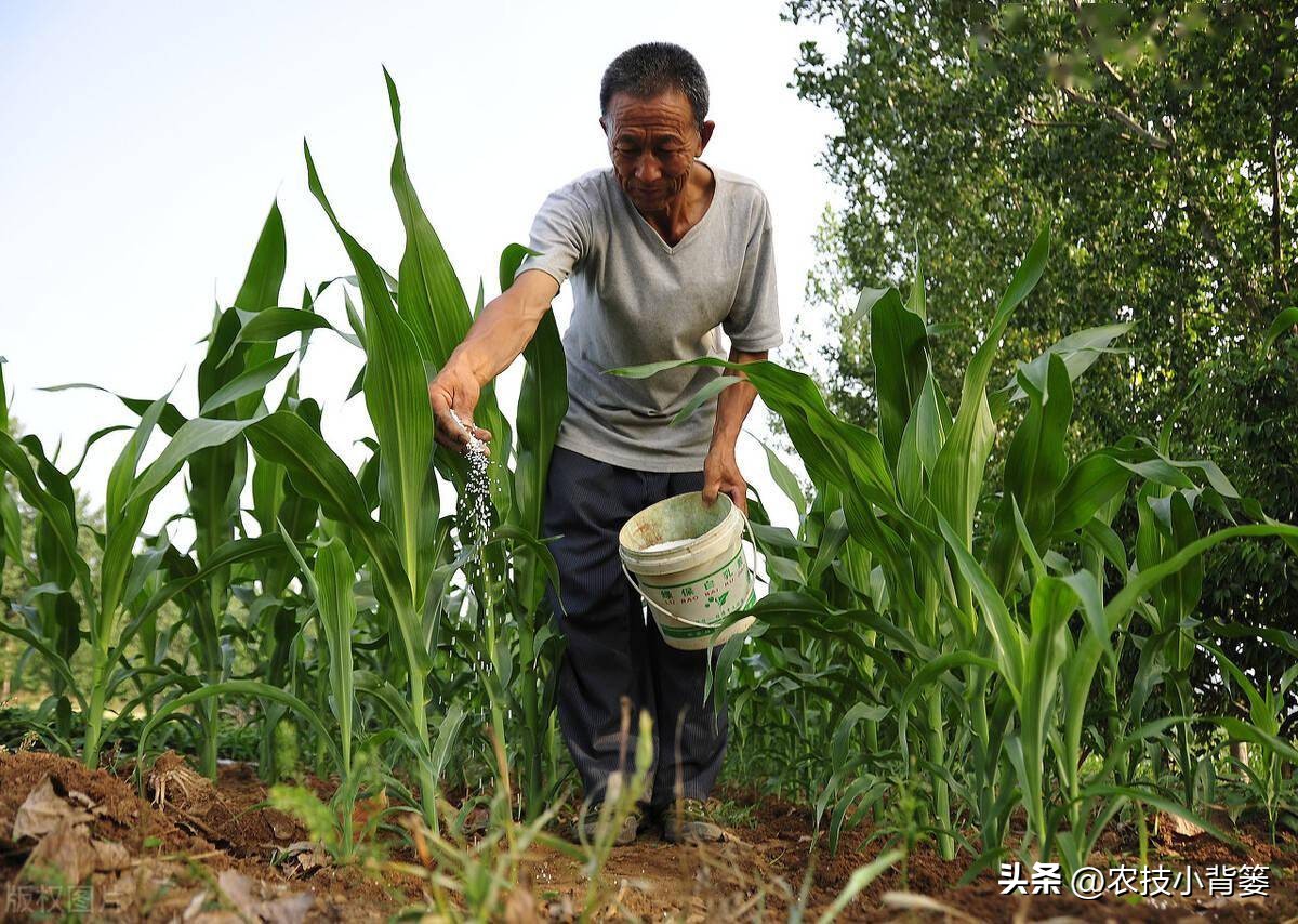 复合肥掺混肥各有什么区别,复合肥复混肥掺混肥哪个好