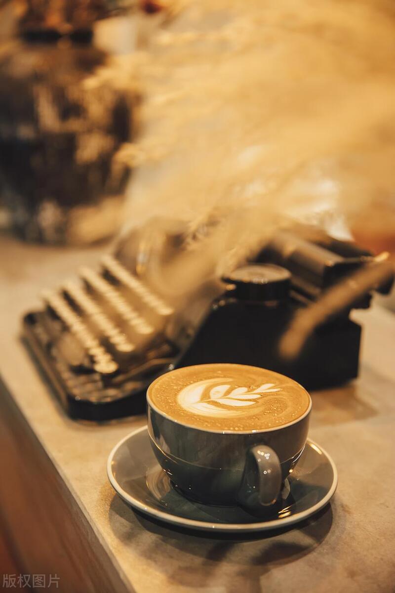 绝对不踩雷的上海咖啡店推荐来咯,上海最美5家咖啡店