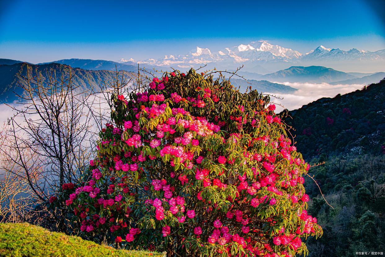 昆明旅游攻略绝美景点有哪些,昆明旅游攻略景点推荐理由大全图